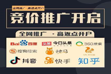 百度竞价赚钱攻略：实战案例分享